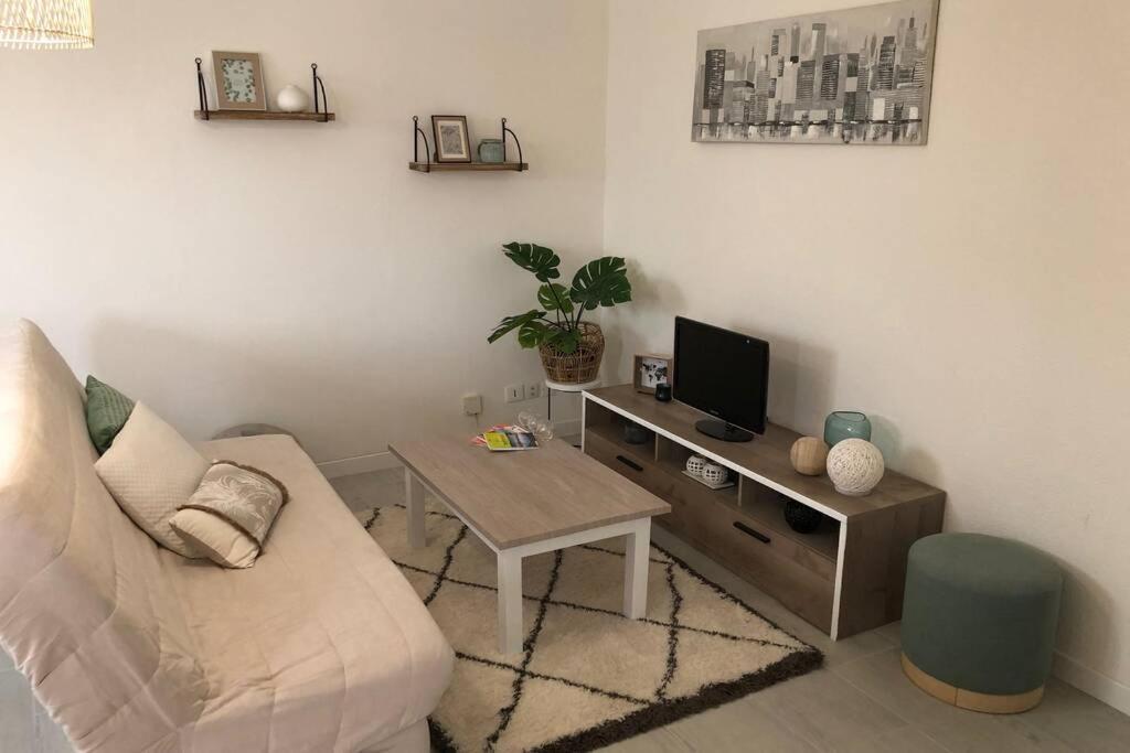Appartement Cosy Avec Jardin A Blagnac. Exterior foto